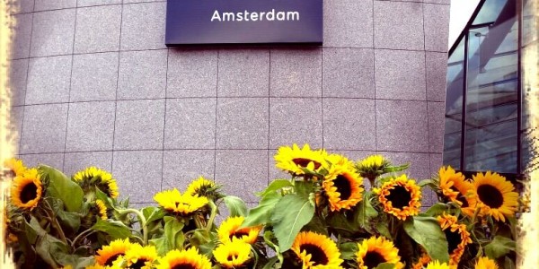van_gogh_museum_amsterdam_zonnebloemen